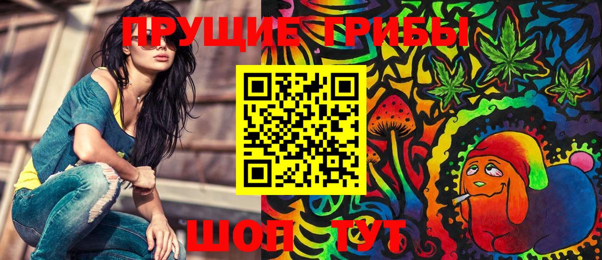 как найти закладки  Псилоцибиновые грибы Psilocybine cubensis  Вход с VPN  Кумертау 